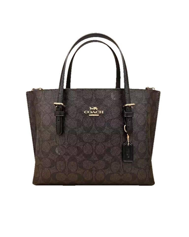Coach Signature Tote - Brown and Black